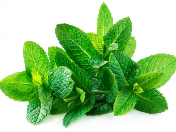 Mint leaves(Pudina pata)-100gm